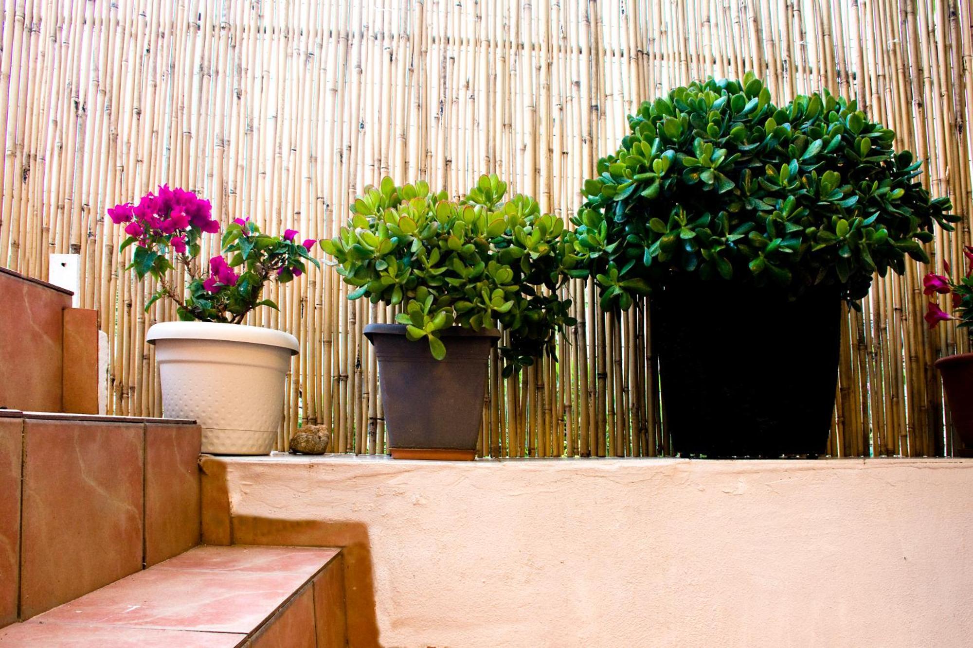 Lilian'S House Villa Chania  Eksteriør billede